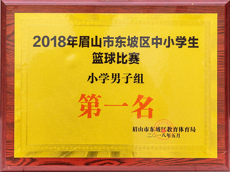 2018年眉山市东坡区中小学篮球比赛第一名